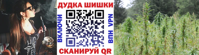 Бошки марихуана OG Kush Карачев